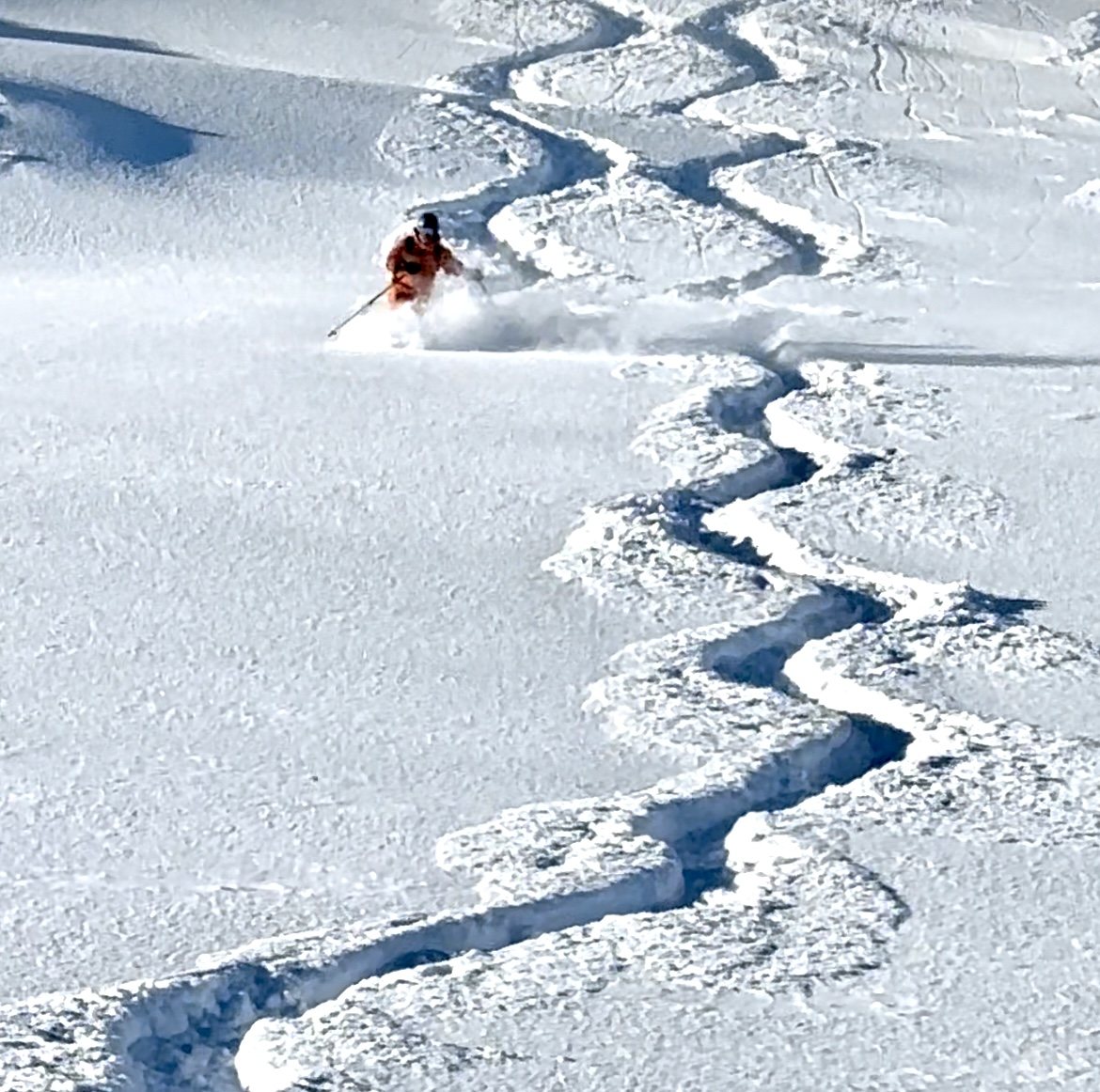 Skier in fresh snow
